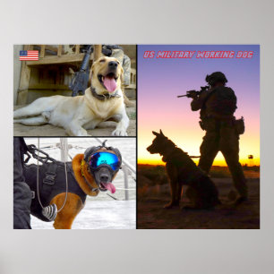 US-MILITÄRISCHER ARBEITSHUND POSTER