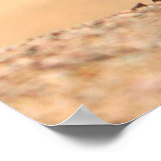 US-MILITÄRISCHER ARBEITSHUND POSTER (Ecke)