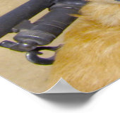 US-MILITÄRISCHER ARBEITSHUND POSTER (Ecke)