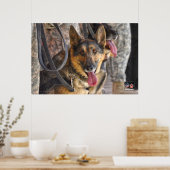 US-MILITÄRISCHER ARBEITSHUND POSTER (Küche)