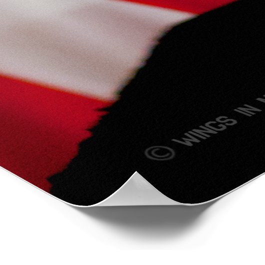 US-MILITÄRISCHER DIENST POSTER (Ecke)