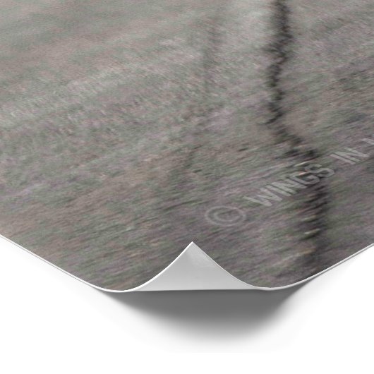 US-MILITÄRISCHER DIENST POSTER (Ecke)