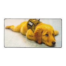 US MILITARY SERVICE DOG