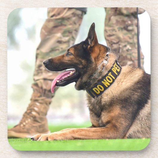 US MILITARY WORKING DOG GETRÄNKEUNTERSETZER (Vorderseite)