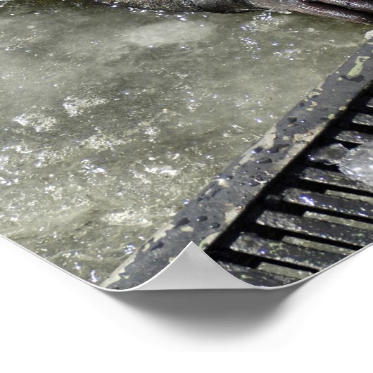 US Navy Diver Poster (Ecke)