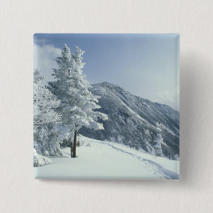 US, NH, Schnee bedeckte Bäume Trails Schneeschuh Button