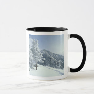 US, NH, Schnee bedeckte Bäume Trails Schneeschuhe Tasse