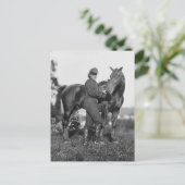 US-Pferdefartillerie, 1863 Postkarte (Stehend Vorderseite)