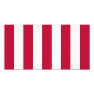 US Sons Of Liberty 9 Streifen Flagge Fotodruck