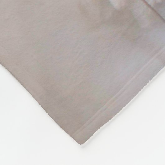 US SPACE SHUTTLE ENDEAVOR FLEECEDECKE (Ecke)