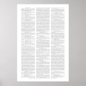 US-Verfassungsänderungspaket Poster (Vorne)