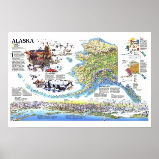 " USA: 1994 ALASKA map with animals ... Poster (Vorne)