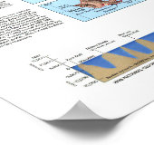 " USA: 1995 Hawaii Refcoverin Karte ... Poster (Ecke)