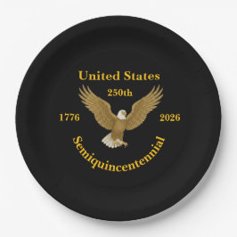 USA 250 Elegant Black Paper Plates Pappteller