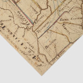 USA 2 SEIDENPAPIER (Ausschnitt)