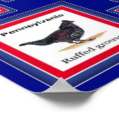 USA 50 STAAT BIRDS BLUE/552 POSTER (Ecke)