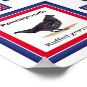 USA 50 STAAT BIRDS WHITE/553 POSTER (Ecke)