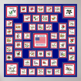 USA 50 STAAT BLUME BLUE/558 POSTER