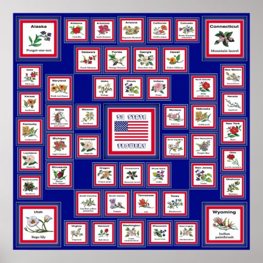 USA 50 STAAT BLUME BLUE/558 POSTER (Vorne)