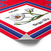 USA 50 STAAT BLUME RED/560 POSTER (Ecke)