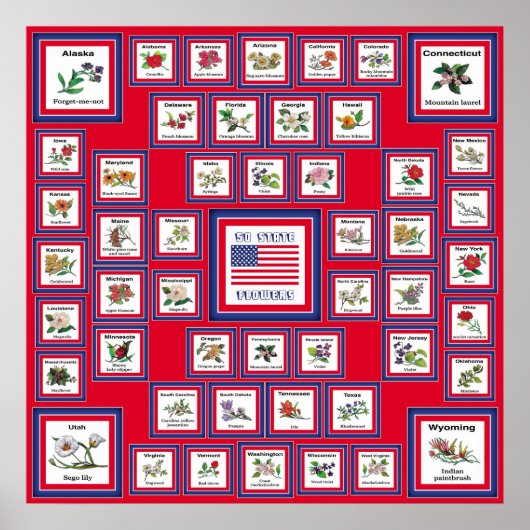USA 50 STAAT BLUME RED/560 POSTER (Vorne)