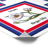 USA 50 STAAT BLUME WHITE/559 POSTER (Ecke)