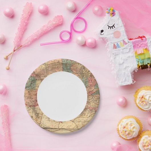 USA 8 PAPPTELLER (Party)