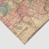 USA 8 SEIDENPAPIER (Ausschnitt)