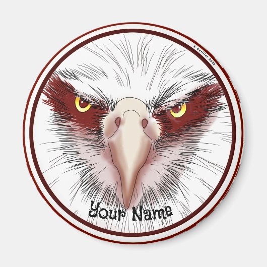 USA Adler Magnet (Vorne)
