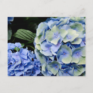 USA, Alabama, Theodore Near Mobile 2 Postkarte