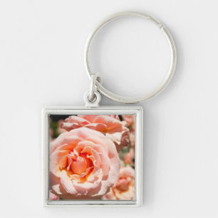 USA, Alabama, Theodore Near Mobile 5 Schlüsselanhänger