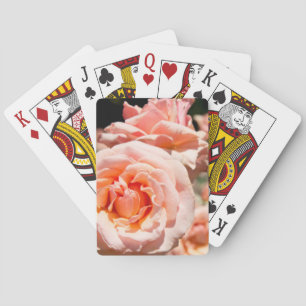 USA, Alabama, Theodore Near Mobile 5 Spielkarten