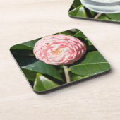 USA, Alabama, Theodore Near Mobile Getränkeuntersetzer (Linke Seite)