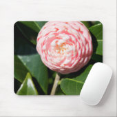 USA, Alabama, Theodore Near Mobile Mousepad (Mit Mouse)