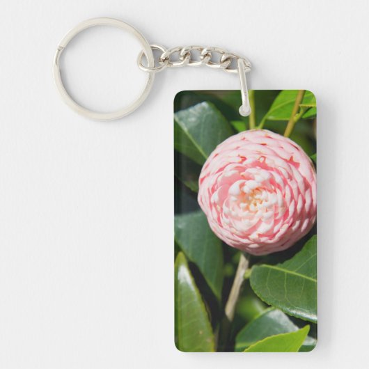 USA, Alabama, Theodore Near Mobile Schlüsselanhänger (Vorderseite)