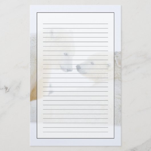 USA, Alaska, 1002 Küstenlinie Schlicht der Arktis Briefpapier (Vorderseite)