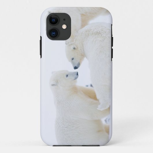USA, Alaska, 1002 Küstenlinie Schlicht der Arktis Case-Mate iPhone Hülle (Rückseite)