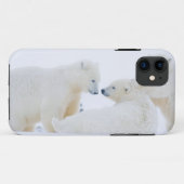 USA, Alaska, 1002 Küstenlinie Schlicht der Arktis Case-Mate iPhone Hülle (Rückseite (Horizontal))