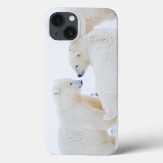USA, Alaska, 1002 Küstenlinie Schlicht der Arktis Case-Mate iPhone Hülle (Rückseite)