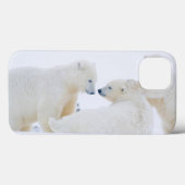 USA, Alaska, 1002 Küstenlinie Schlicht der Arktis Case-Mate iPhone Hülle (Rückseite (Horizontal))