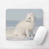 USA, Alaska, 1002 Küstenlinie Schlicht der Arktis Mousepad (Mit Mouse)