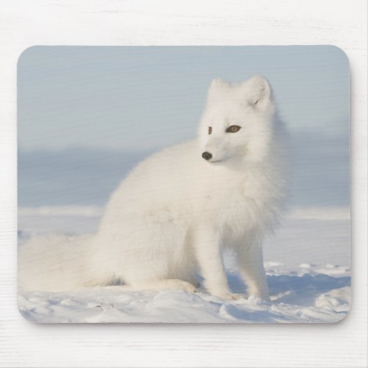 USA, Alaska, 1002 Küstenlinie Schlicht der Arktis Mousepad (Vorne)