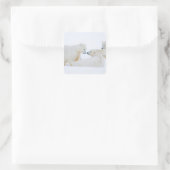 USA, Alaska, 1002 Küstenlinie Schlicht der Arktis Quadratischer Aufkleber (Tasche)