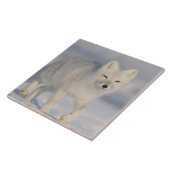 USA, Alaska, 1002 Küstenlinie Schlicht des ANWR. A Fliese (Seite)