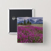 USA, Alaska, Alsek River Valley. Ansicht Button (Vorne & Hinten)