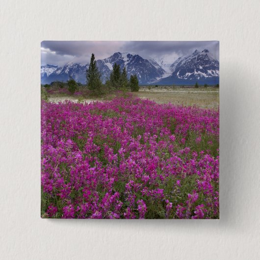 USA, Alaska, Alsek River Valley. Ansicht Button (Vorderseite)