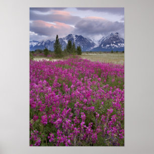 USA, Alaska, Alsek River Valley. Ansicht von Poster