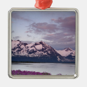 USA, Alaska, Alsek River Valley. Blick auf Alsek Silbernes Ornament