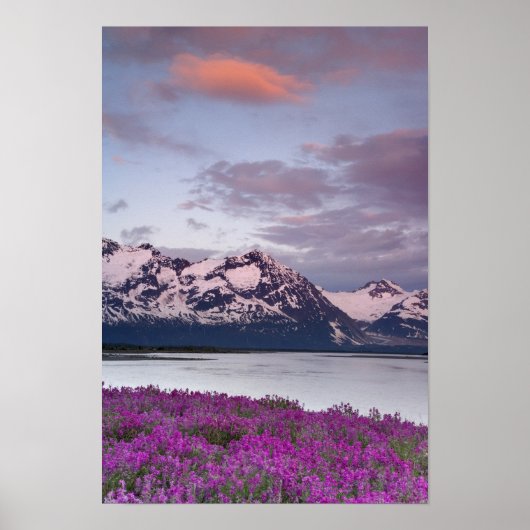 USA, Alaska, Alsek River Valley. Sicht auf Alsek Poster (Vorne)