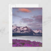 USA, Alaska, Alsek River Valley. Sicht auf Alsek Postkarte (Vorne/Hinten)